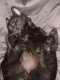 IMG_0058.jpeg