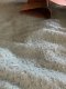 IMG_0328.jpeg