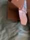 IMG_0326.jpeg
