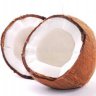 Coconut_destroyer69420