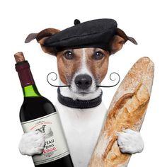 70df1e5c54401ff38c948816a3068804--french-martini-french-dogs.jpg
